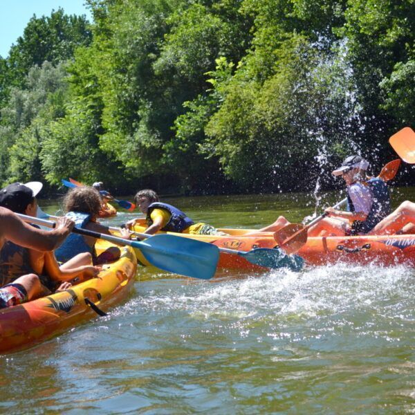 Canoë avec son chien dans le Maine et Loire