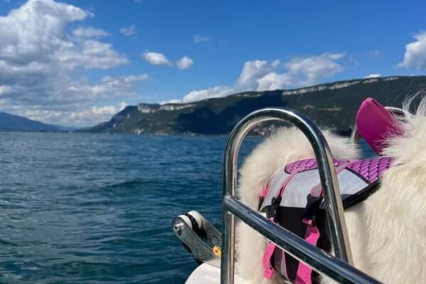 Loueur de Bateau : Cap Vert 73