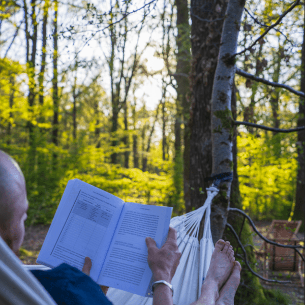 Forêt de l'Etang de Sillé dans la Sarthe