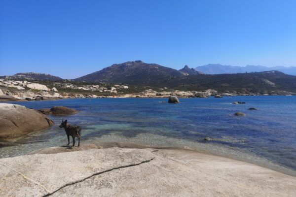 Plage du rocher