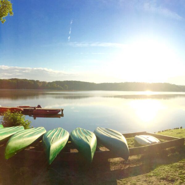 Etang de Sillé dans la Sarthe, autorisé aux chiens.