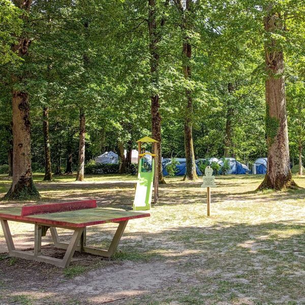 Camping avec un étang qui accepte les chiens dans le Loiret