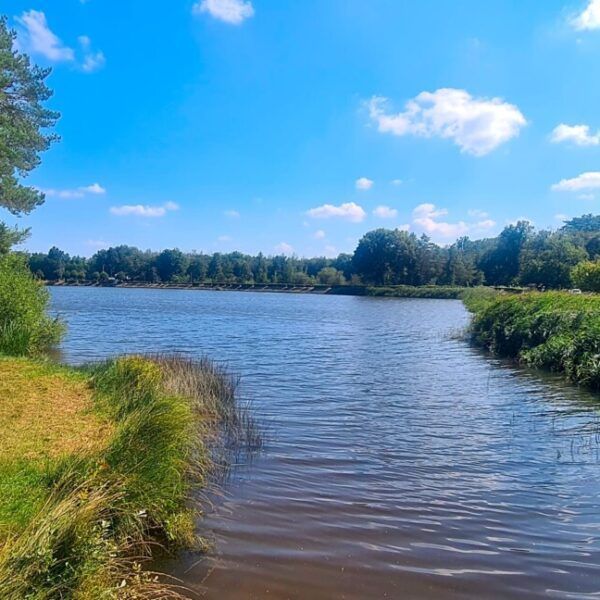 Camping avec un étang qui accepte les chiens dans le Loiret