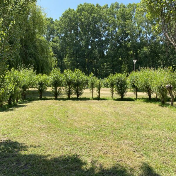 Bosrijke ligging van Camping Le Marais Sauvage in de Vendée in het hart van de moerassen van Poitevin nabij Niort in Pays de Loire