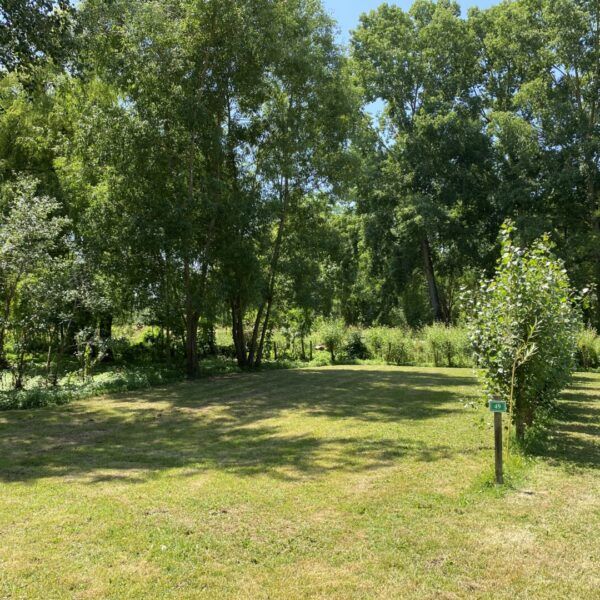Piazzola ombreggiata al Camping Le Marais Sauvage in Vandea, nel cuore delle paludi di Poitevin vicino a Niort nei Paesi della Loira