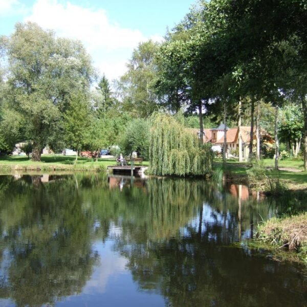 Jardin clos et étang de La Maison de l'Epousée, Chambre d'hôtes à Abbeville dans la Somme dans les Hauts de France