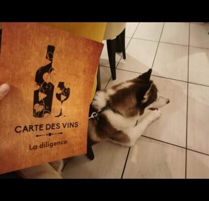 La Diligeance