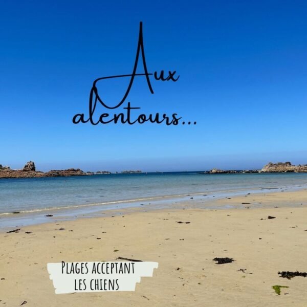 Plage chien acceptés proche du Gîte Le Roc’h Velen en Bretagne dans les Côtes d'Armor à Plouguiel