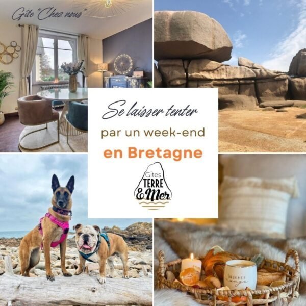 Weekend en Bretagne avec son chien au Gîte Le Roc’h Velen en Bretagne dans les Côtes d'Armor à Plouguiel