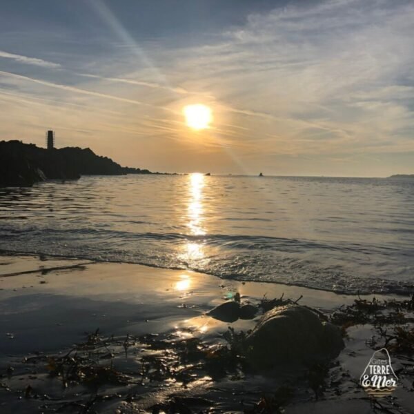 Plage proche du Gîte Le Roc’h Velen en Bretagne dans les Côtes d'Armor à Plouguiel