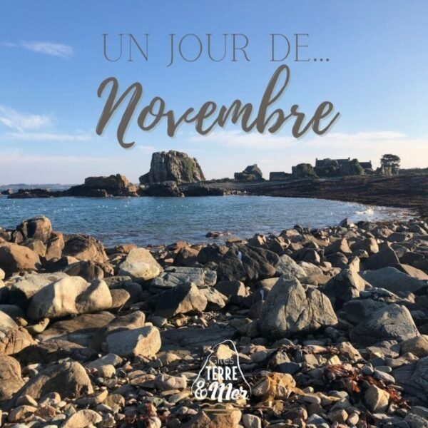 L'automne en Bretagne dans le Gîte Le Roc’h Breiz’h en Bretagne dans les Côtes d'Armor à Plouguiel