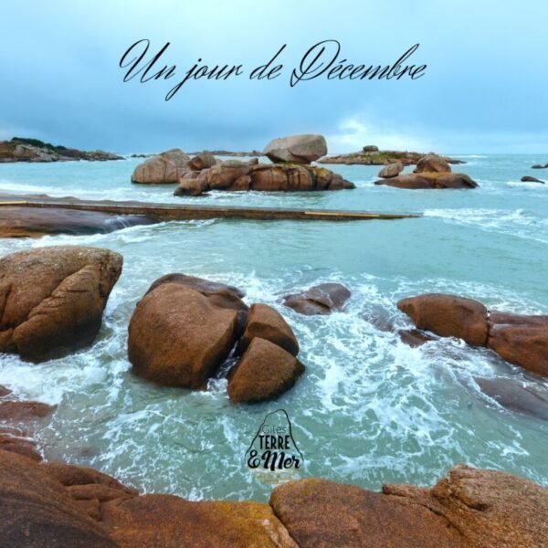 L'hiver en Bretagne dans le Gîte Le Roc’h Breiz’h en Bretagne dans les Côtes d'Armor à Plouguiel