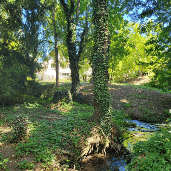 Parc arboré sur le domaine des Chambres d'hôtes Le Moulin de Meslon en Berry dans le Cher à Coust en Centre Val de Loire