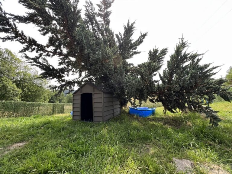 Niche dans le jardin clos du Cottage Jasper by Roof n'Woof dans les Vosges dans le Grand Est au Tholy
