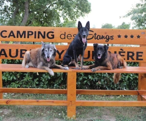 Camping des Etangs