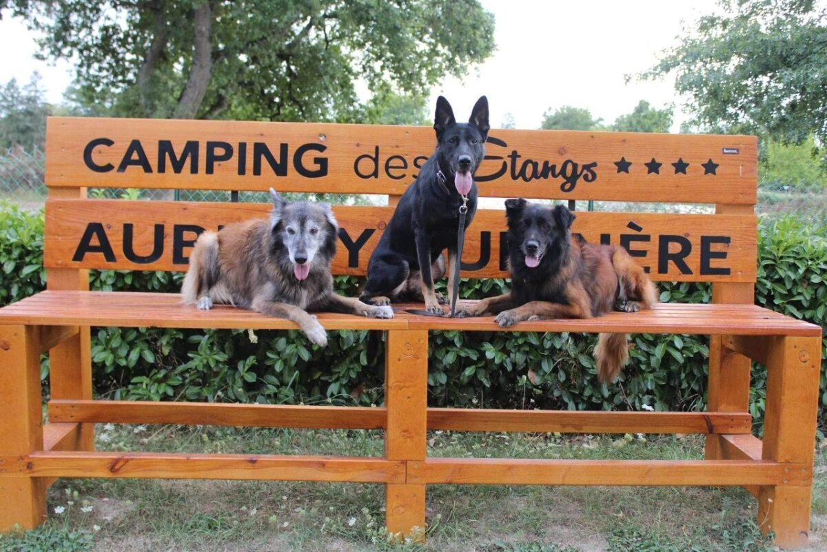 Camping des Etangs
