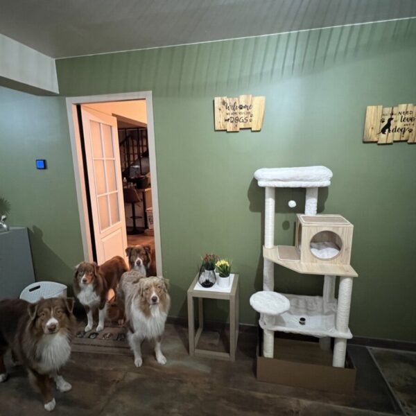 Animal areas at Cottage Jasper by Roof n'Woof in the Vosges in the Grand Est in Tholy