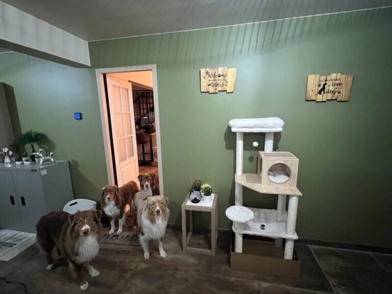 Espaces animaux au Cottage Jasper by Roof n'Woof dans les Vosges dans le Grand Est au Tholy