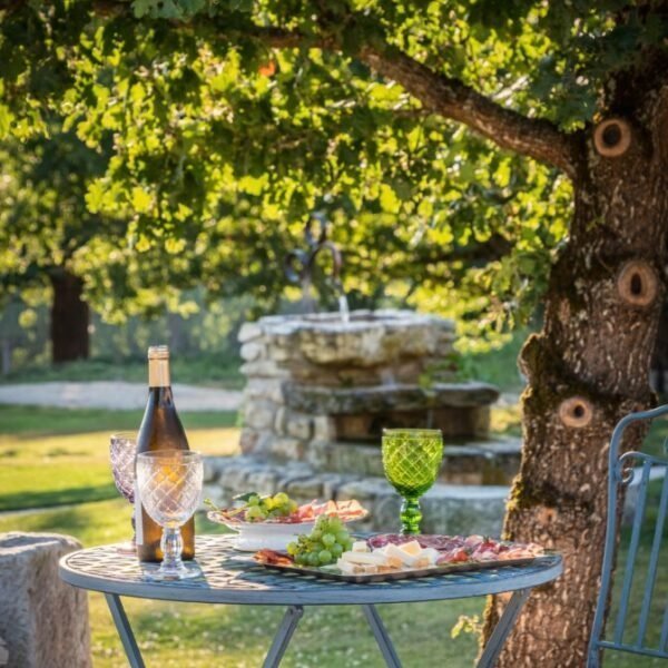 Dégustation de vins dans le jardin du domaine des Gites Le Hameau de la Closerie en Berry dans l'Indre en Centre Val de Loire à Fléré-la-Rivière