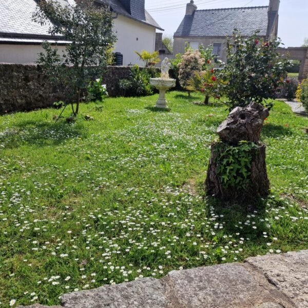 Jardin clos du Gîte Trémelois en Bretagne dans les Côtes d'Armor à Trémel