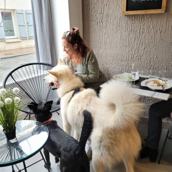 Repas avec son chien au Restaurant Toutouccino à Meaux en Ile de France en Seine et Marne