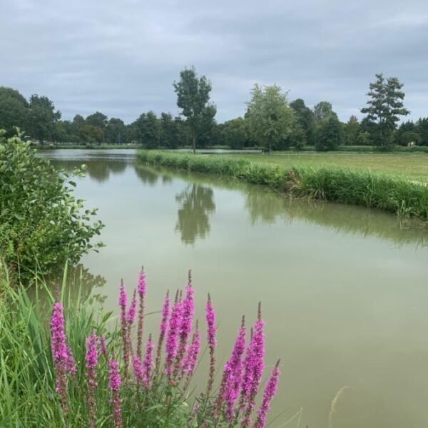 Balade dans la nature proche du Gite Le Clos des Hirondelles en Centre Val de Loire à Thenay proche de Beauval dans le Loir et Cher