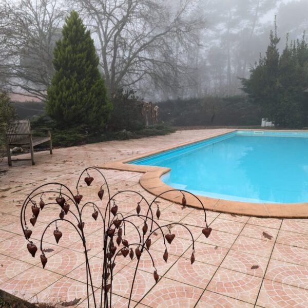 Piscine autorisée aux chien dans le Gîte et pension canine Jim et Otta dans les Landes à Mont de Marsan en Nouvelle Aquitaine