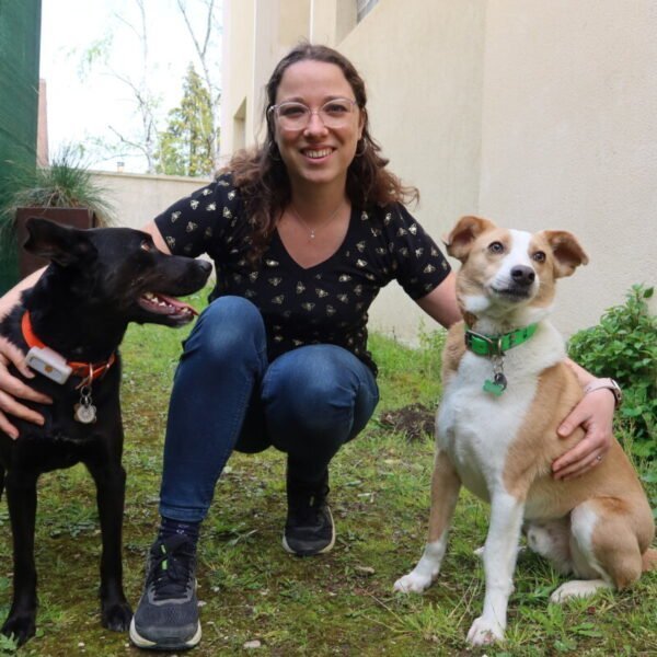 Les chiens sont acceptés et aimés au Restaurant Toutouccino à Meaux en Ile de France en Seine et Marne