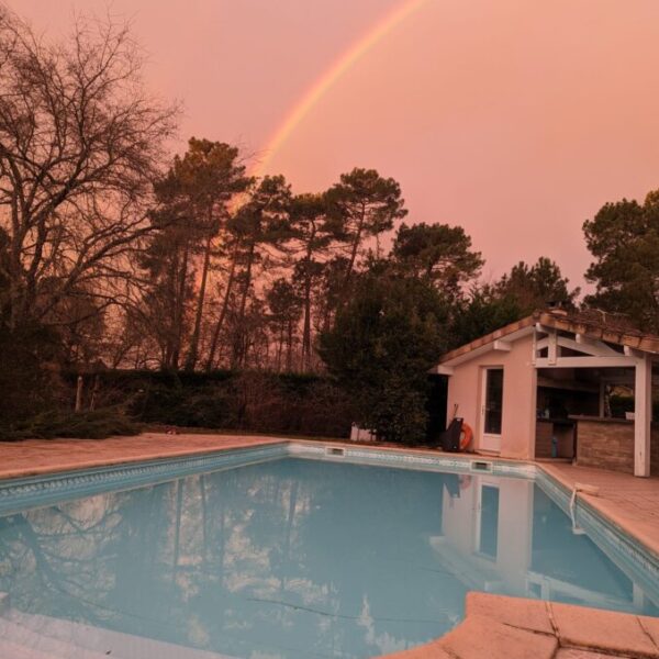 Piscine autorisée aux chien dans le Gîte et pension canine Jim et Otta dans les Landes à Mont de Marsan en Nouvelle Aquitaine