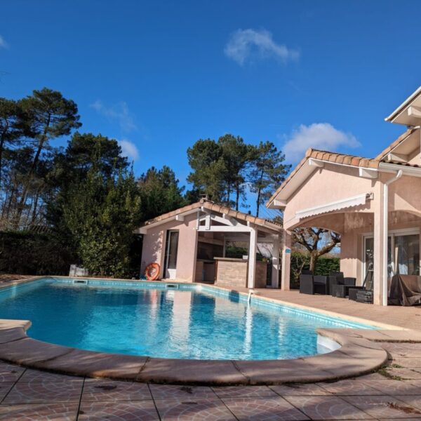 Piscine autorisée aux chien dans le Gîte et pension canine Jim et Otta dans les Landes à Mont de Marsan en Nouvelle Aquitaine