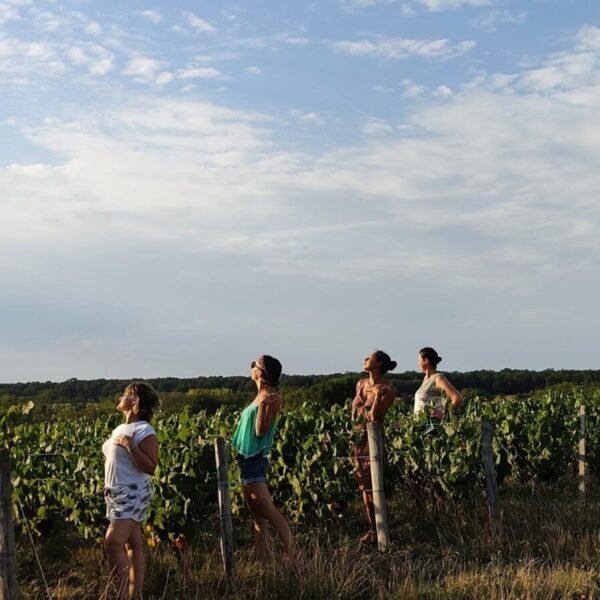 Balade dans les vignes près du Gite Le Clos des Hirondelles en Centre Val de Loire à Thenay proche de Beauval dans le Loir et Cher