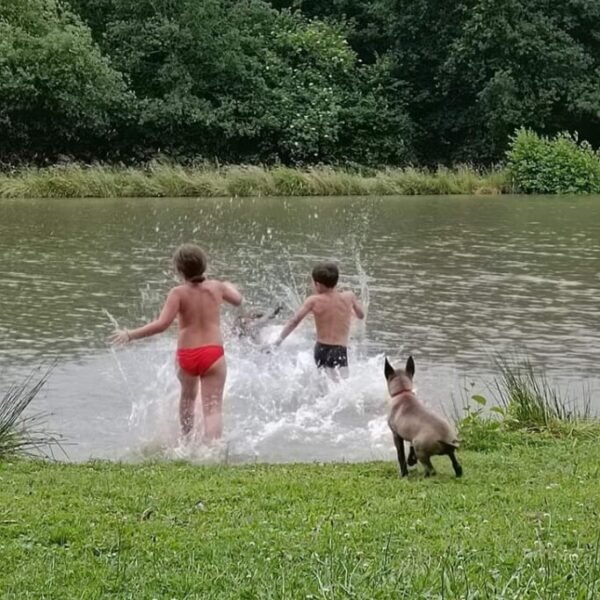 Vacances en famille dans les Gîtes de la Montée Perdrix en Allier dans la région Auvergne Rhône Alpes à Toulon sur Allier