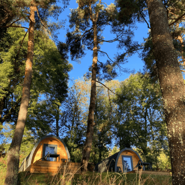 Camping Serendipia