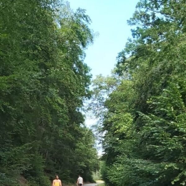 Chemin de randonnée proche du Gîte La Belle au Calme dans la Forêt d'Argonne dans la Meuse en Grand Est à Futeau