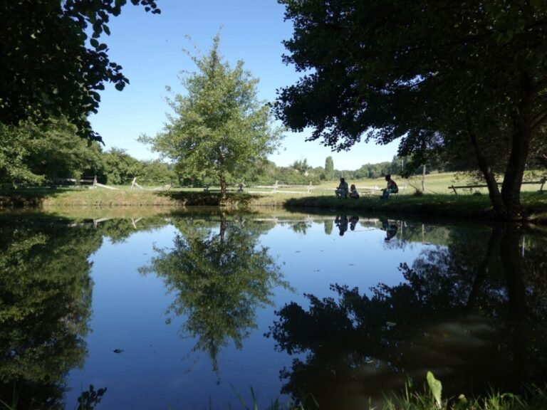 Lac de pêche des Gites La Ferme aux Chevaux dans le Gers à Bazian en Occitanie