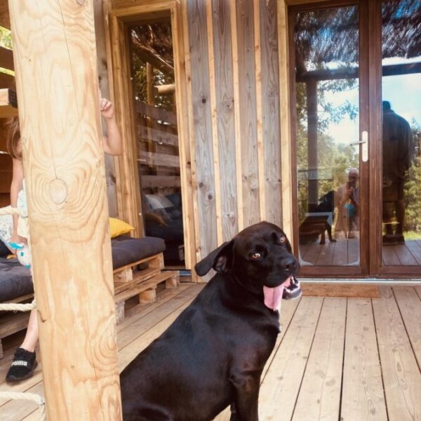 Chiens acceptés dans Les Ecogites de la Pierre le Matz dans les Pays de la Loire à Chauvé en Loire Atlantique