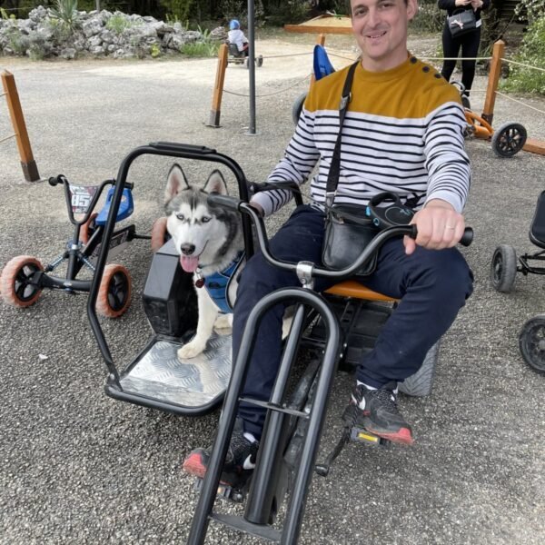 Karting autorisé aux chiens à Aven Grotte Forestière en Ardèche proche de Pont saint Esprit