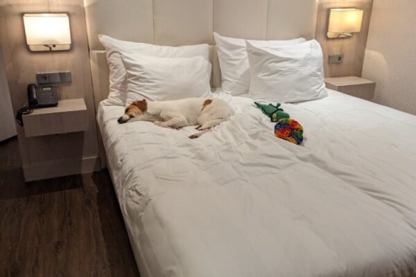 Van der Walk hotel