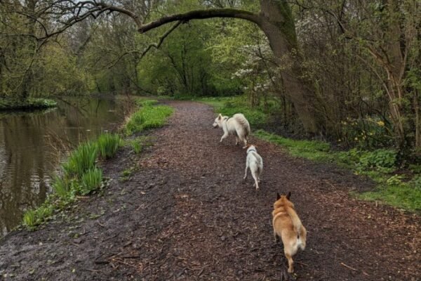 Parc Vondelpark