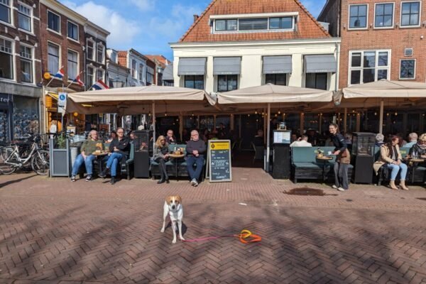 Restaurant Belvedère Gouda