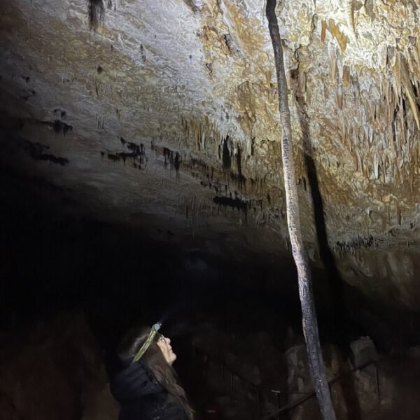 Aven Grotte Forestière en Ardèche proche de Pont saint Esprit