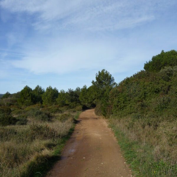 Chemin de randonnée proche du Gîte La Golondrina dans l'Hérault à Frontignan Plage au bord de la Méditerranée