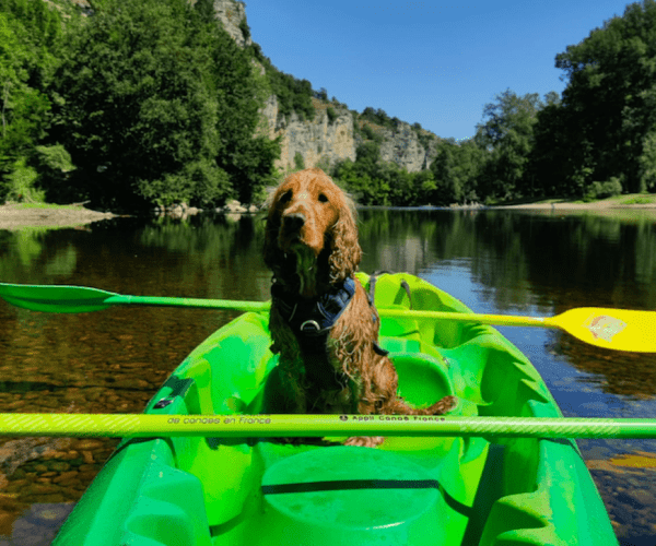 Canoës Safaraid Dordogne