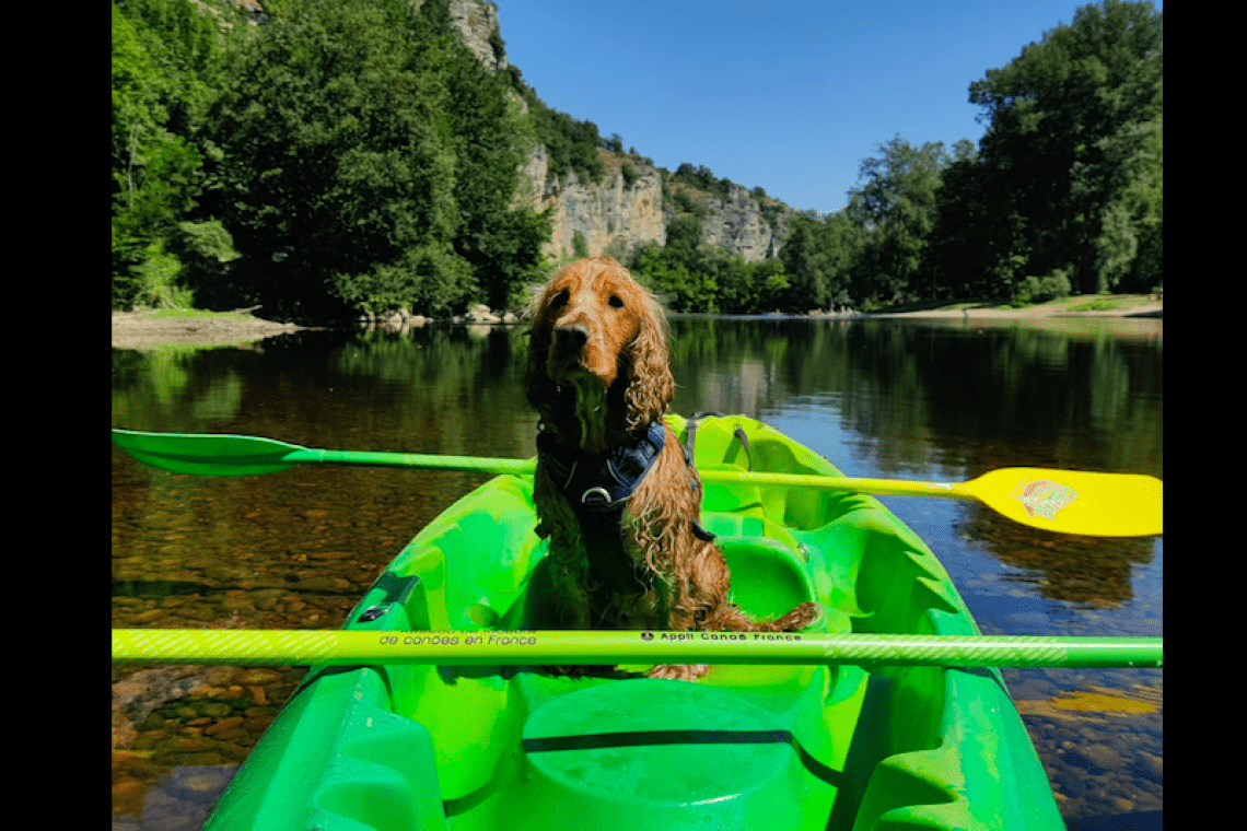 Canoës Safaraid Dordogne