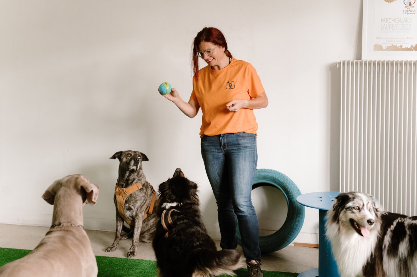 PatchGuard – Crèches canines et dogsitters pro