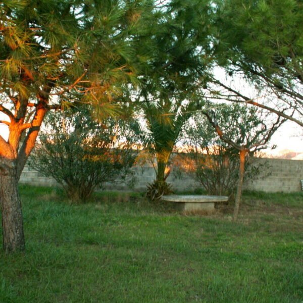 Promenade en nature près des Gîte La Golondrina dans l'Hérault à Frontignan Plage au bord de la Méditerranée