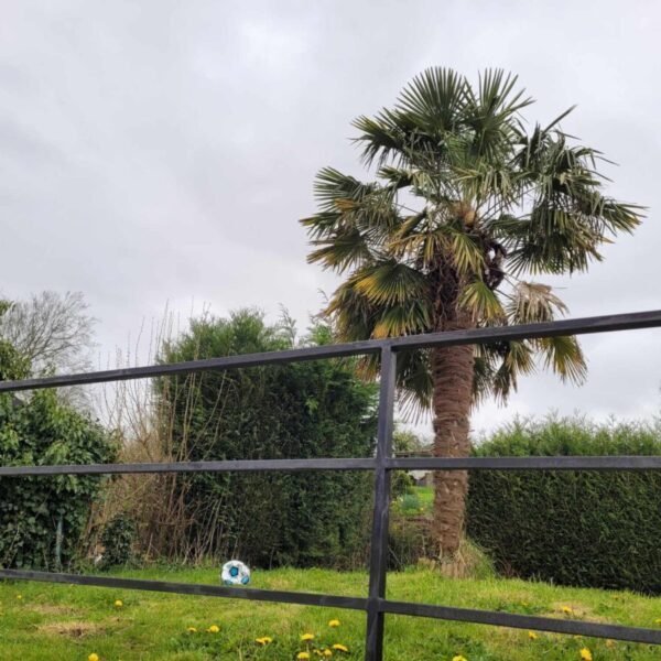 Jardin clos du Gîte Les Malous dans la Baie de Somme proche du Crotoy et de St Valéry sur Somme