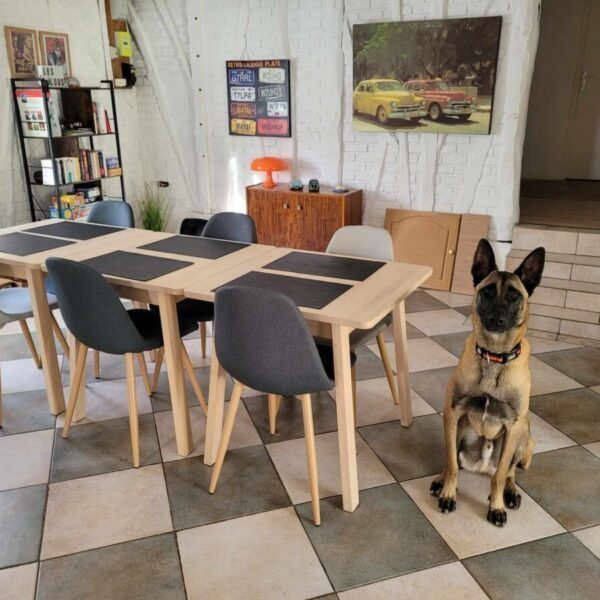 Salon et chien du Gîte Les Malous dans la Baie de Somme proche du Crotoy et de St Valéry sur Somme