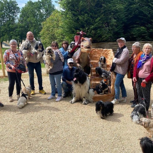 Visite de groupe au Conquil, Parc aux Dinosaures et Préhistobranche en Dordogne à Saint Léon sur Vézère