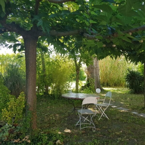 Jardin des Chambres d'hôtes Le Mas des Cigognes au Thor près d'Avignon dans le Vaucluse en Provence